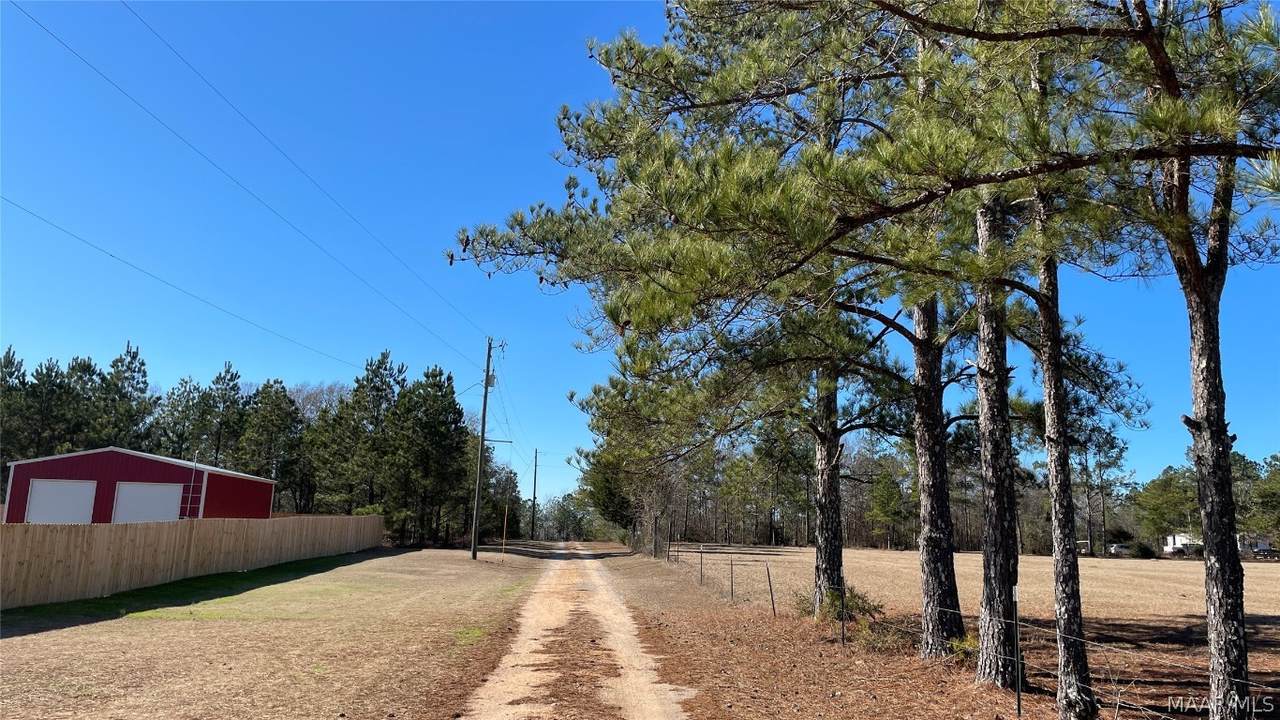 Lot 1 County Road 81 - Photo 1
