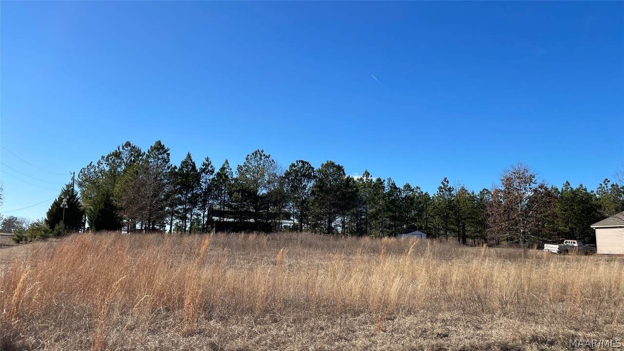 Lot 5-6 County Road 81 - Photo 1
