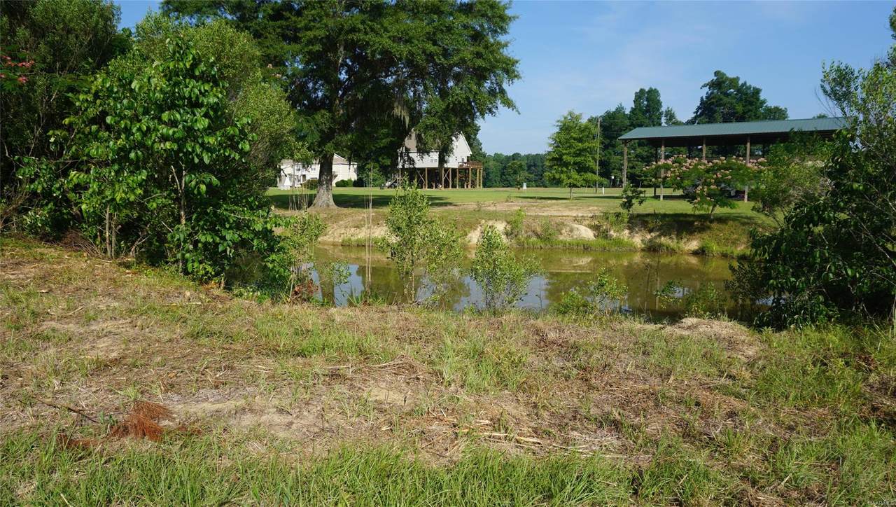 2409 Brinson Place - Photo 1