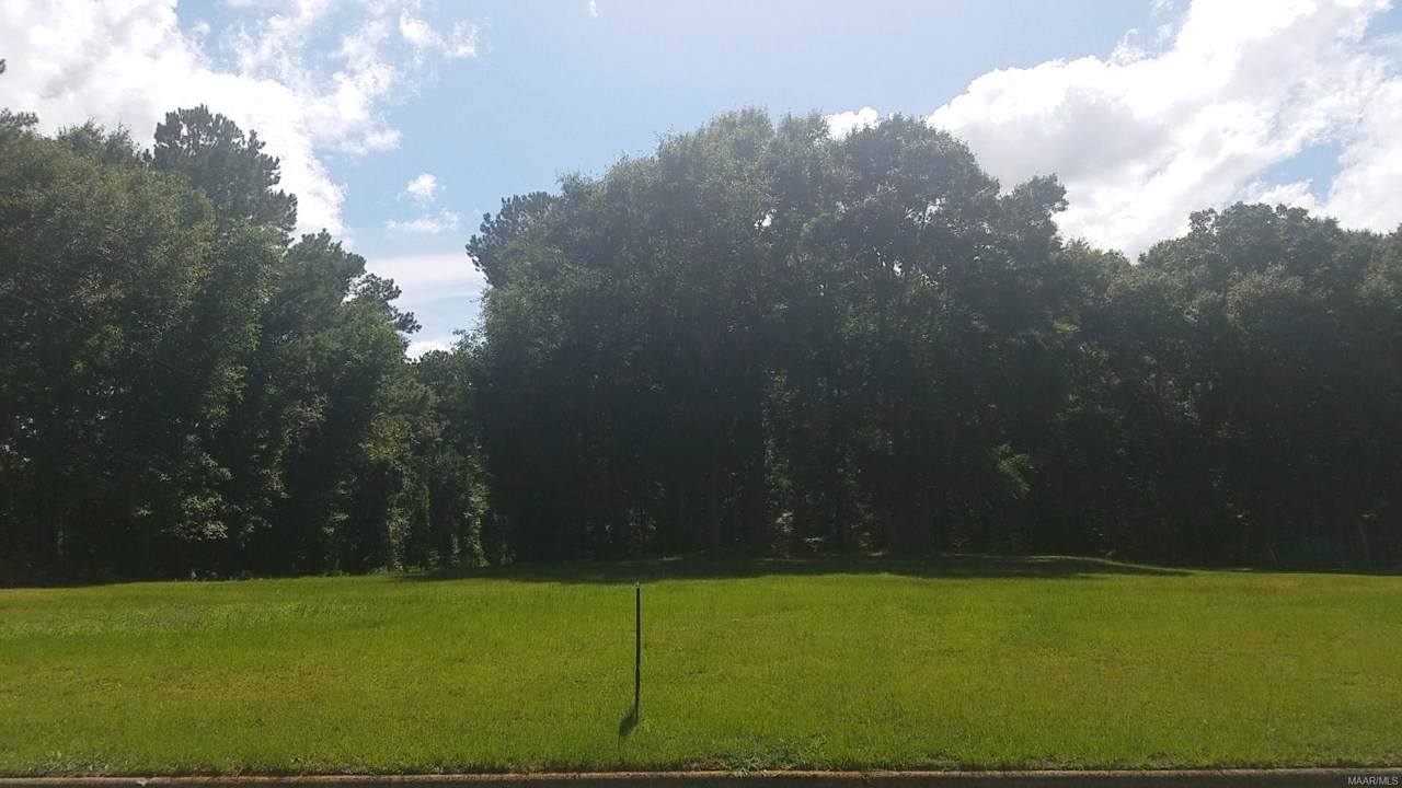 101 Mamie Street - Photo 1
