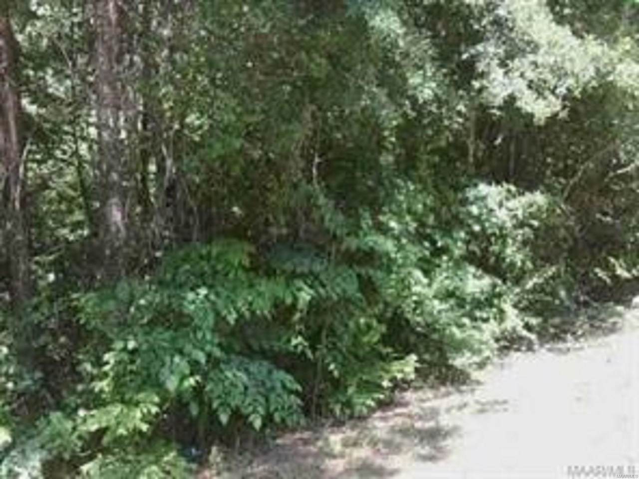 TBD County Road 60 . - Photo 1