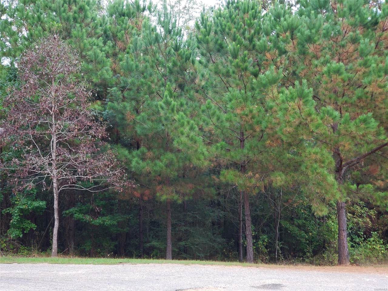 Lot 7 Pinehurst Street - Photo 1