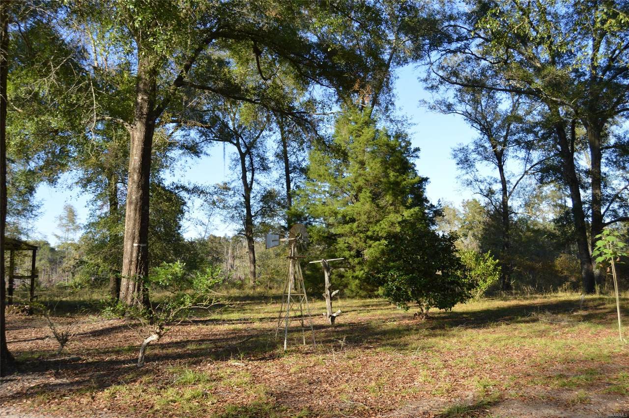 192 Maloy Road - Photo 1
