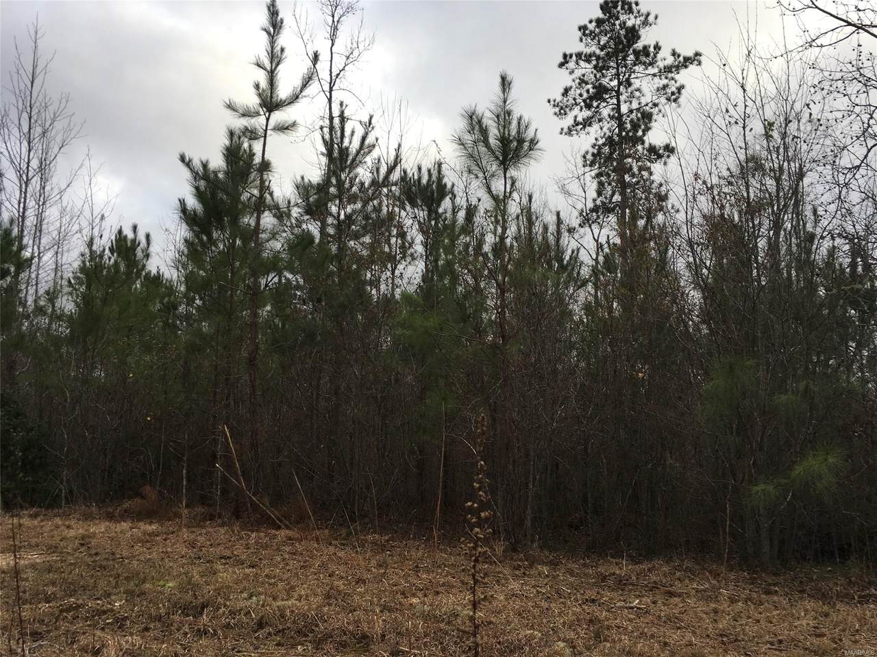 00 Bradley Road - Photo 1