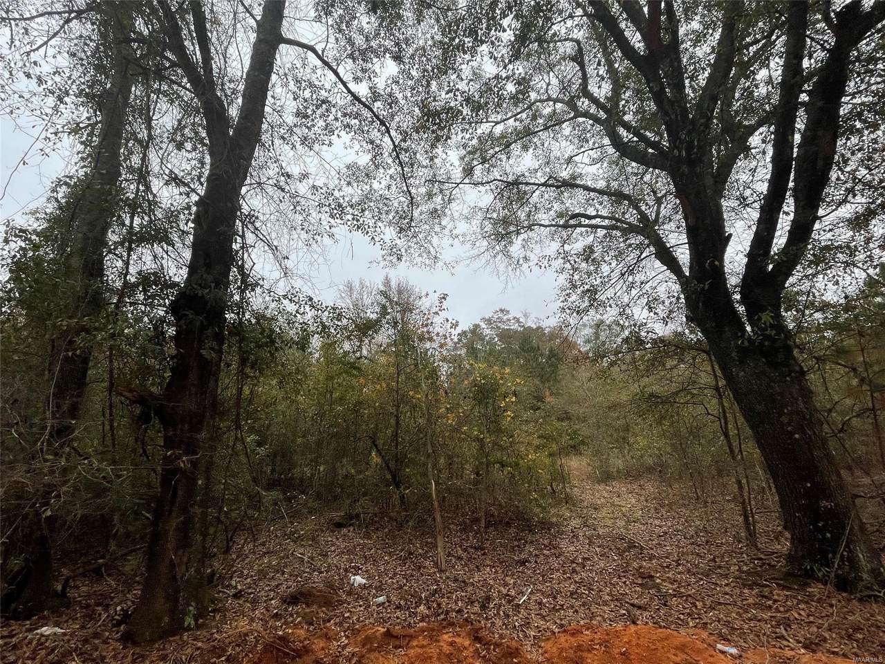 0 Muskogee Trail - Photo 1