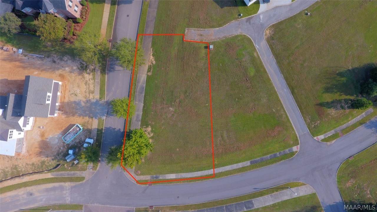1403 Cherry Tree Lane - Photo 1