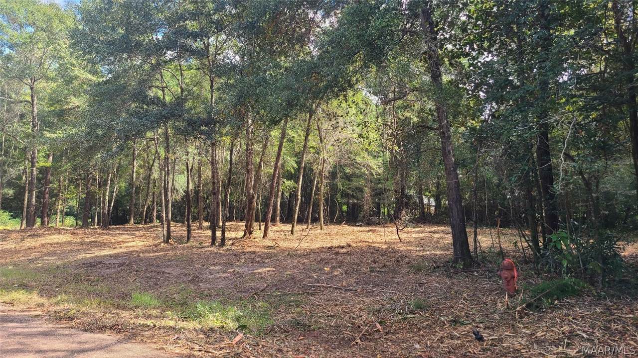 00 River Road - Photo 1