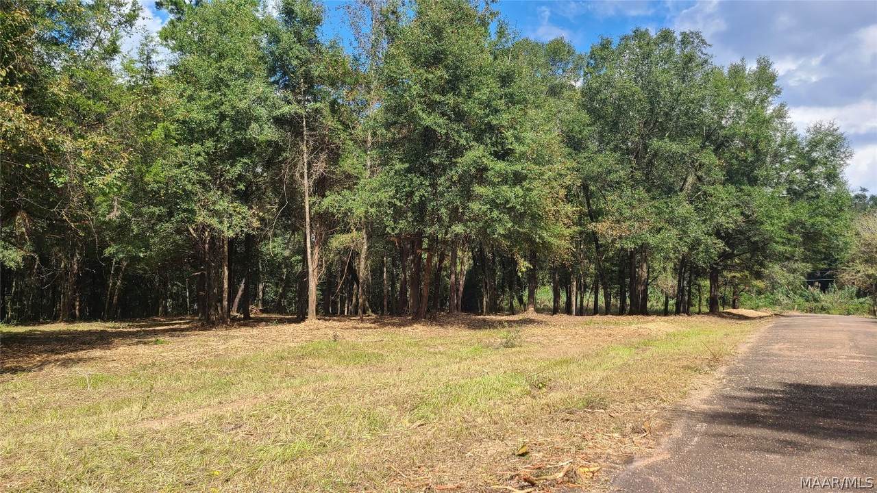 00 Herbert Allan Road - Photo 1