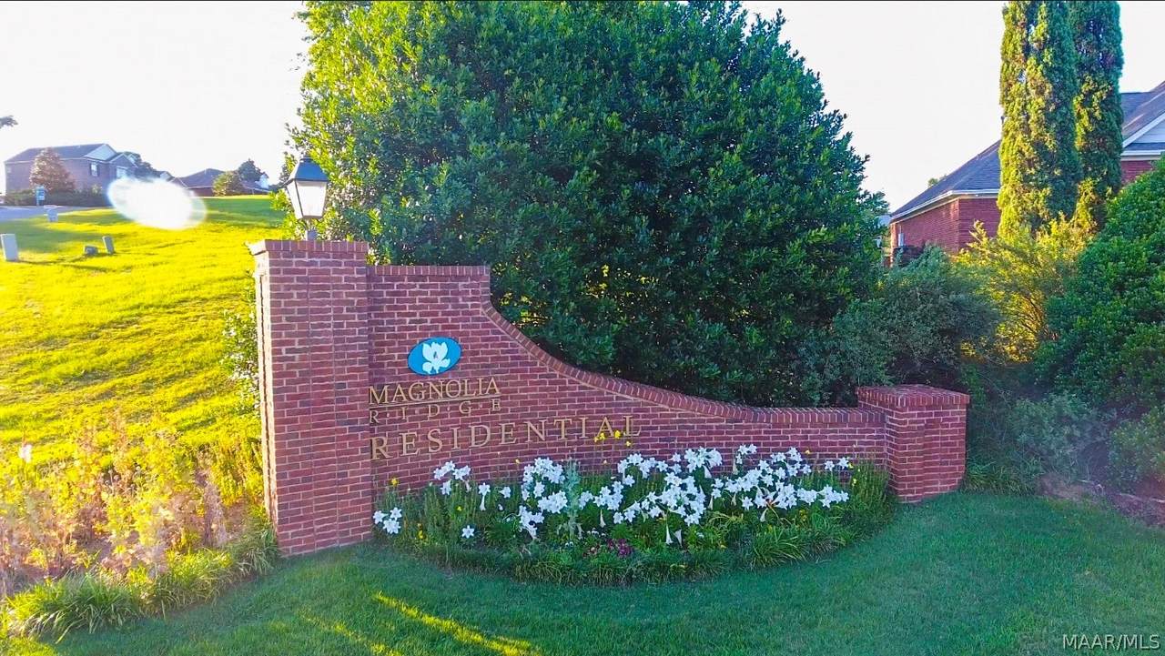 47 Carolina Court - Photo 1