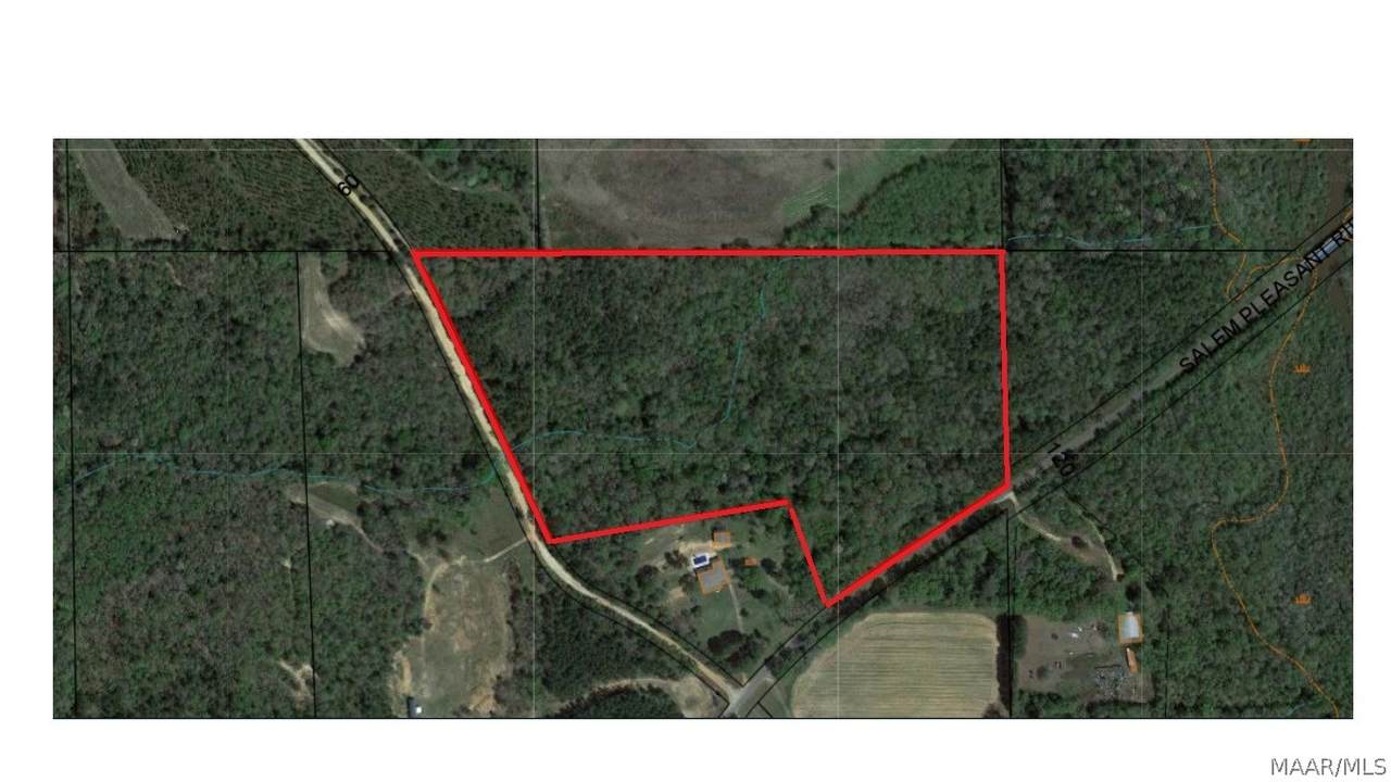 26 +/- Acres County Road 19 - Photo 1
