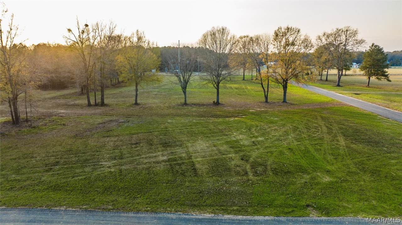 230 Crossing Lane - Photo 1