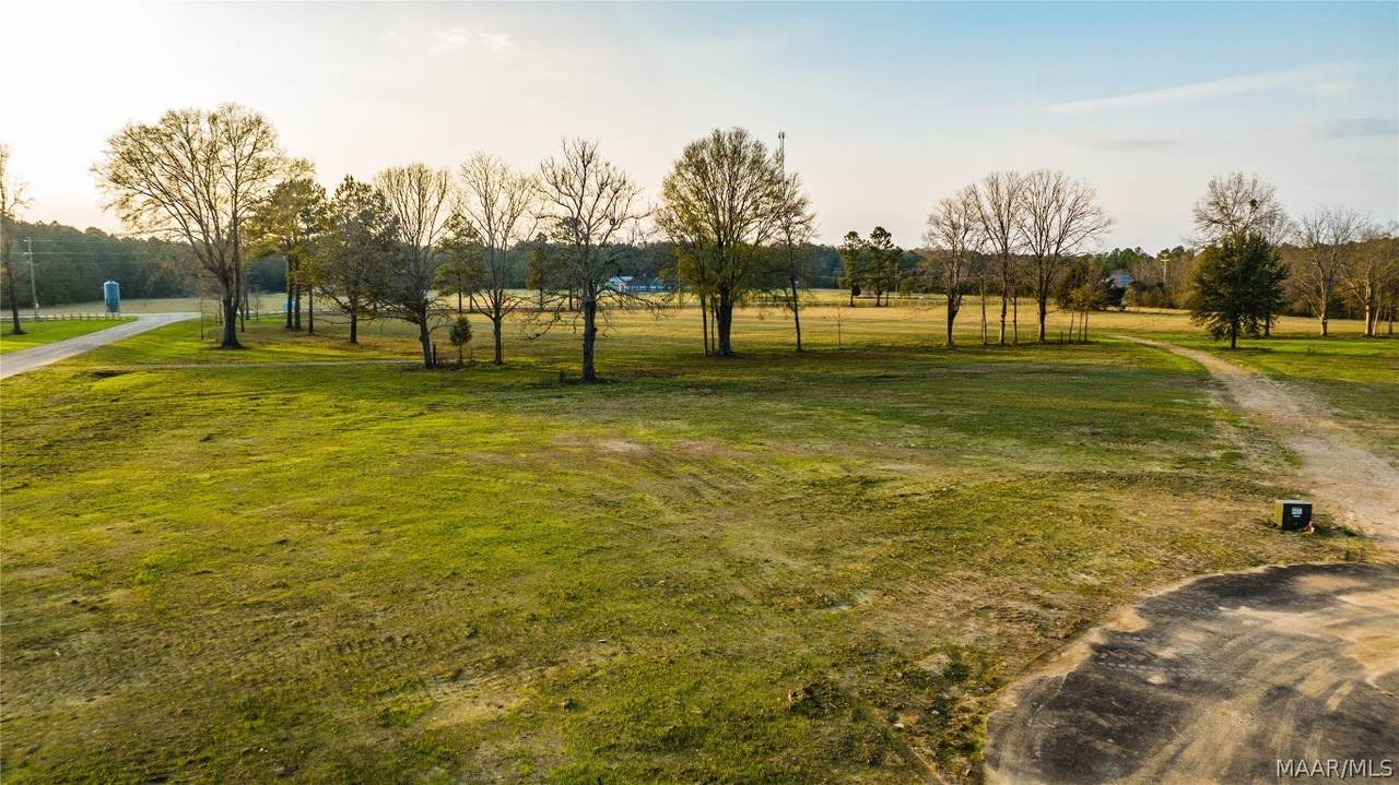 220 Crossing Lane - Photo 1