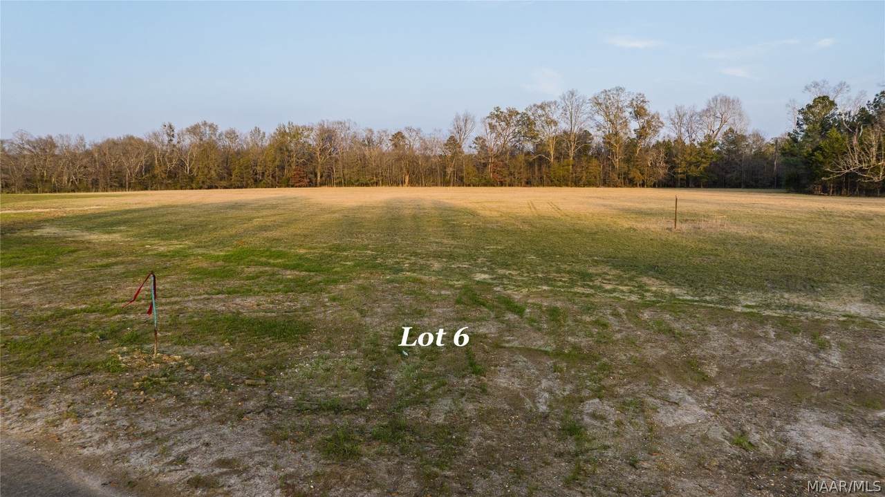 225 Crossing Lane - Photo 1