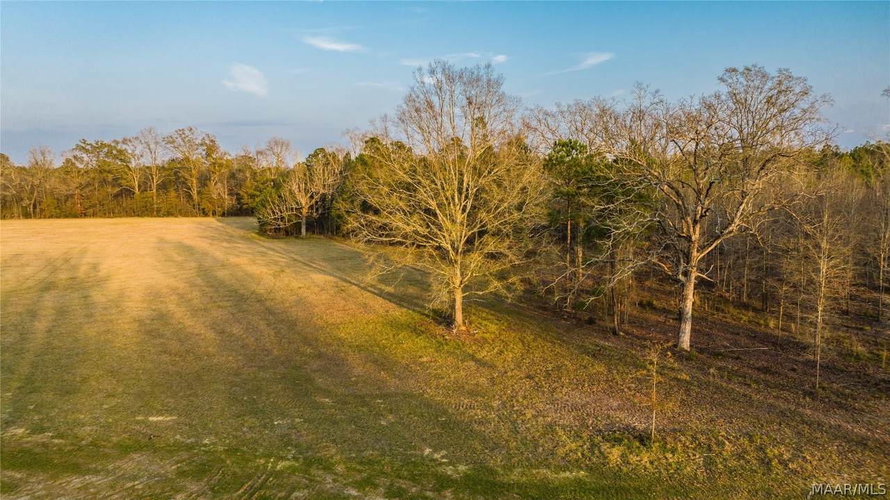 235 Crossing Lane - Photo 1