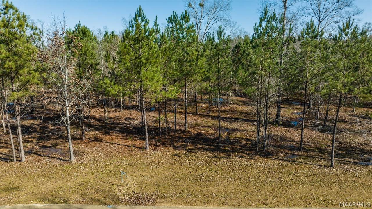 245 Crossing Lane - Photo 1