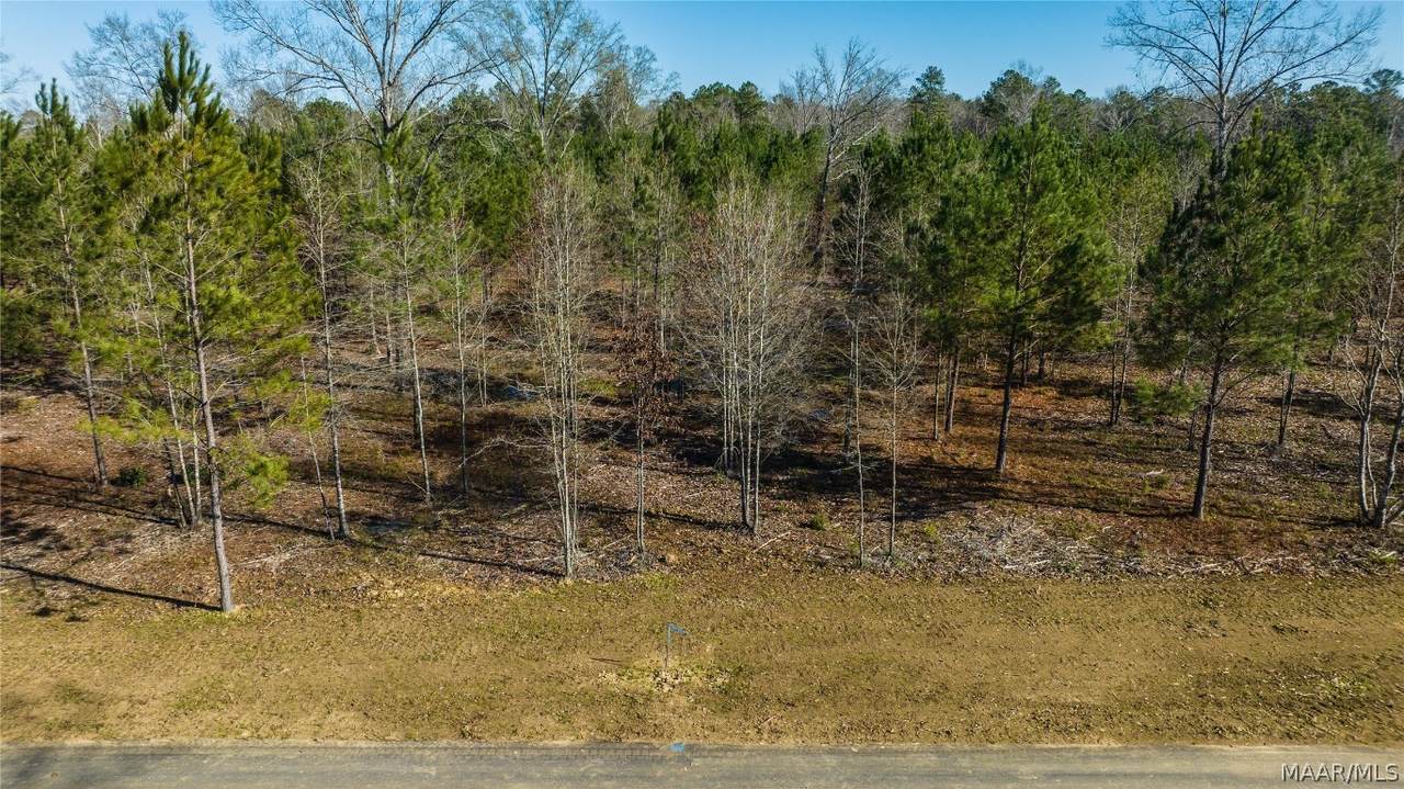255 Crossing Lane - Photo 1