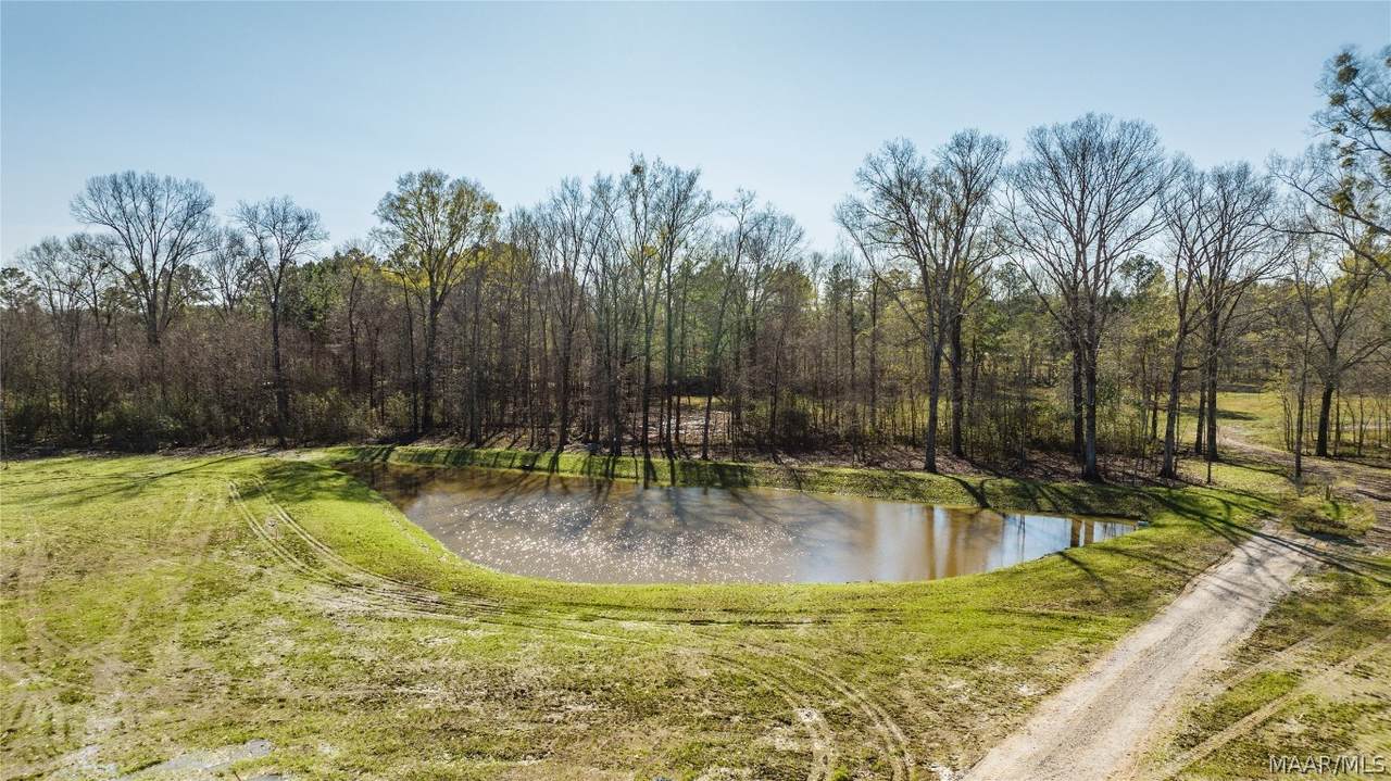 270 Crossing Lane - Photo 1