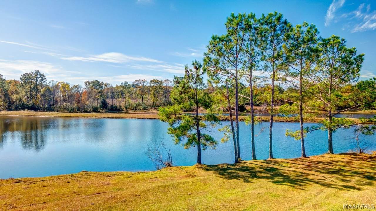 16104 County Road 32 Road - Photo 1
