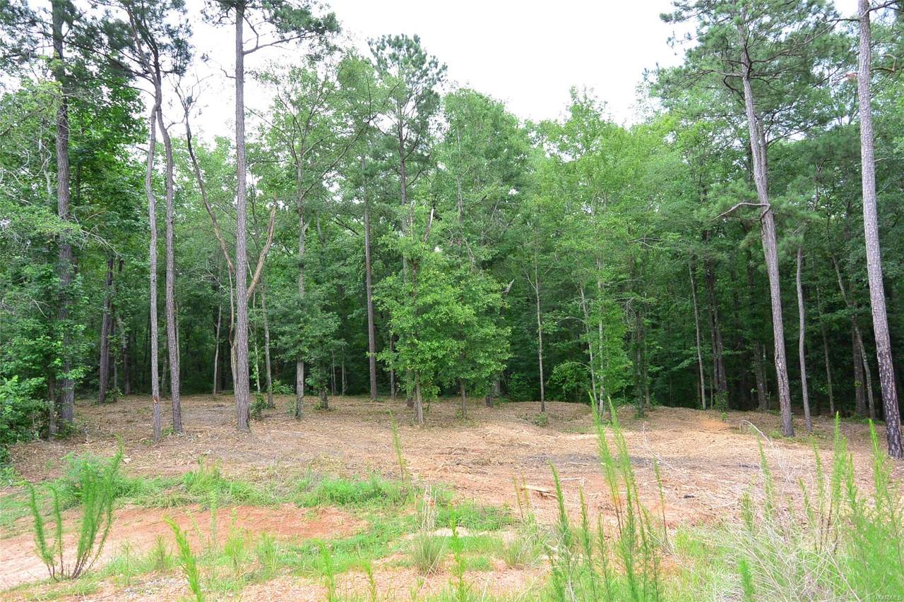 295 River Stone Way - Photo 1