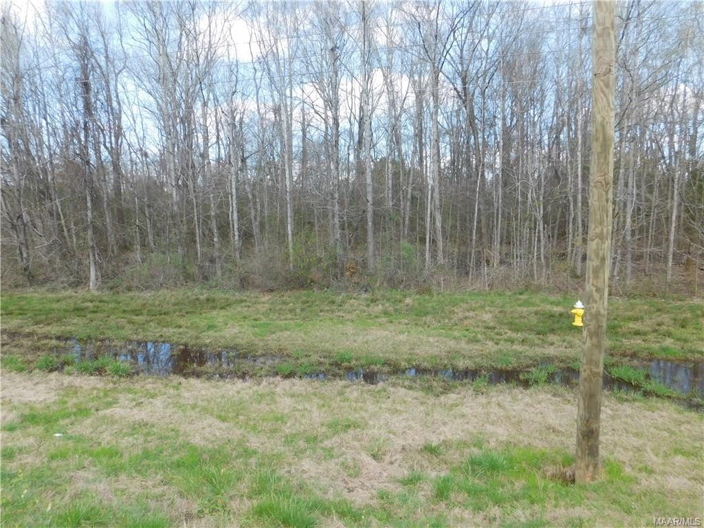 2533 West Boulevard - Photo 1