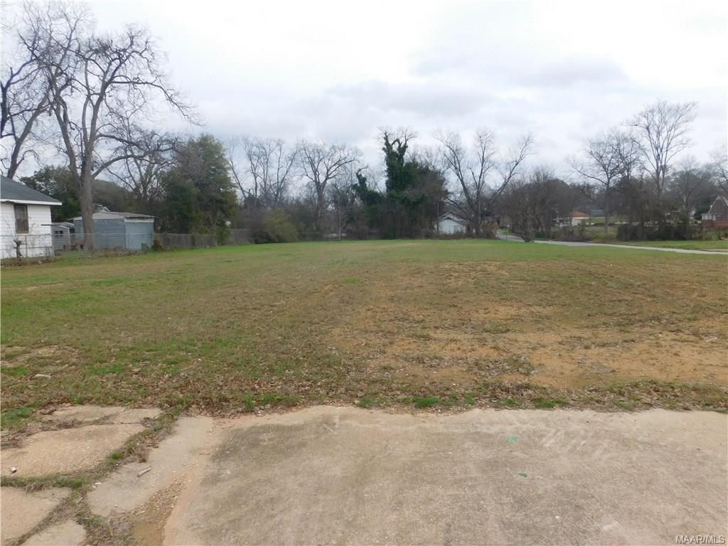 1321 Bellview Street - Photo 1