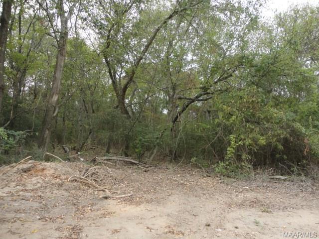 00 Gabriel Drive - Photo 1
