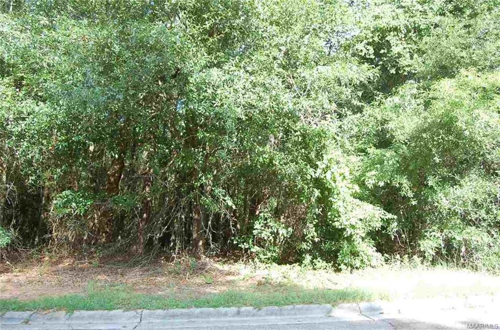117 Stoneridge Road - Photo 1