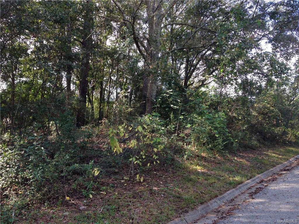 112 Stoneridge Road - Photo 1