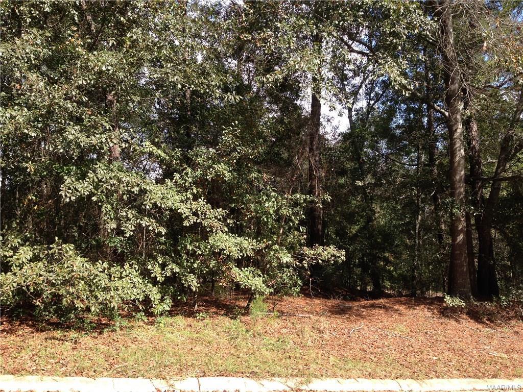 115 Stoneridge Road - Photo 1
