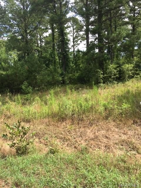 0000 County Road 68 Road - Photo 1