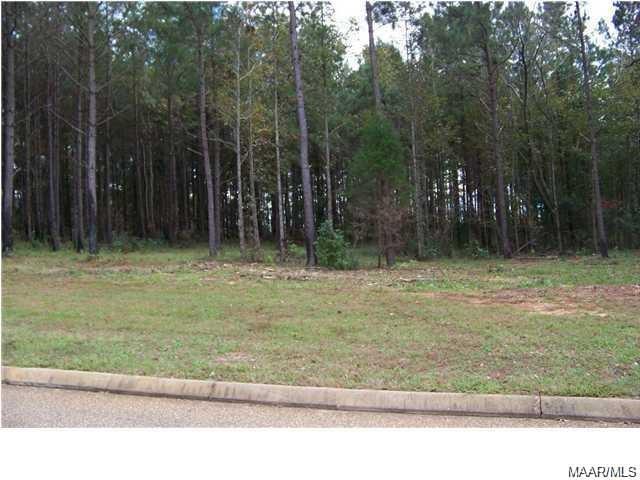 LOT #16 White Oak Way - Photo 1