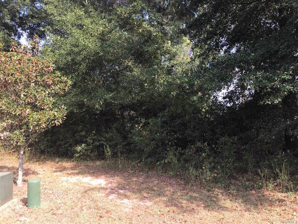 103 Southern Winds Drive - Photo 1