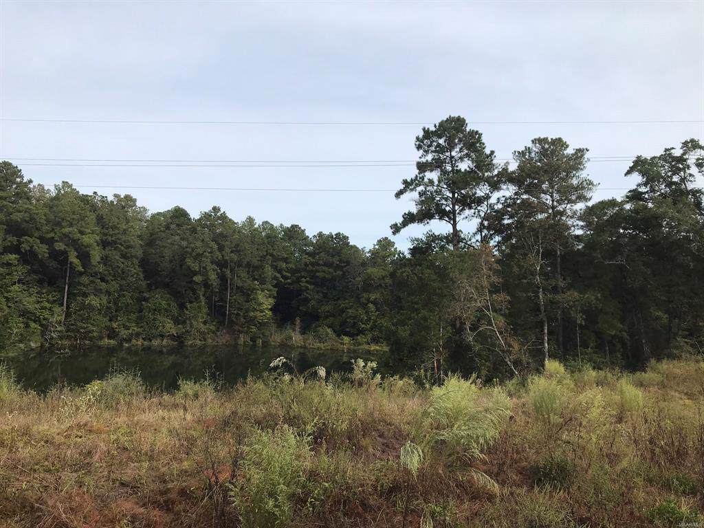 TBD Averett Road - Photo 1
