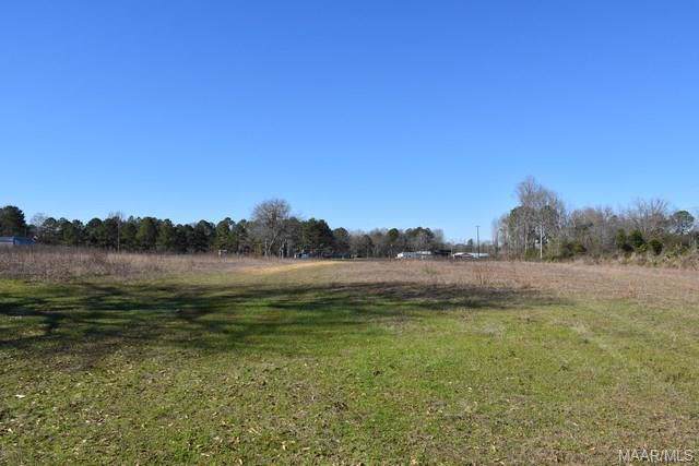 10606 Highway 231 - Photo 1