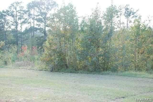 00 Mixon School Road - Photo 1