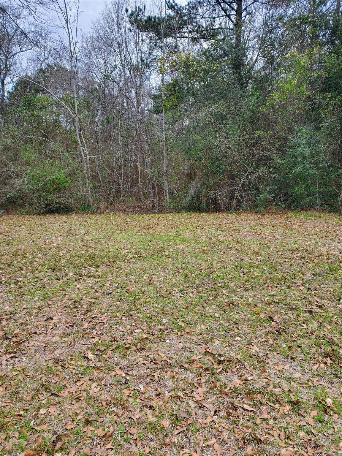 TBD Ellen's Path - Photo 1