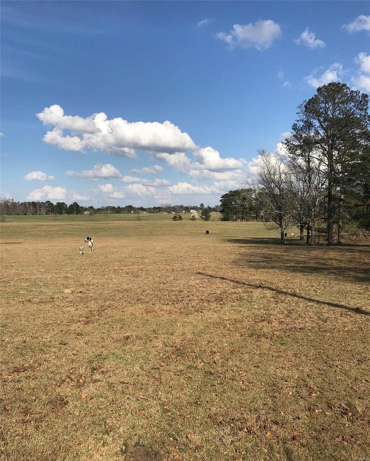 0 County Road 13 - Photo 1