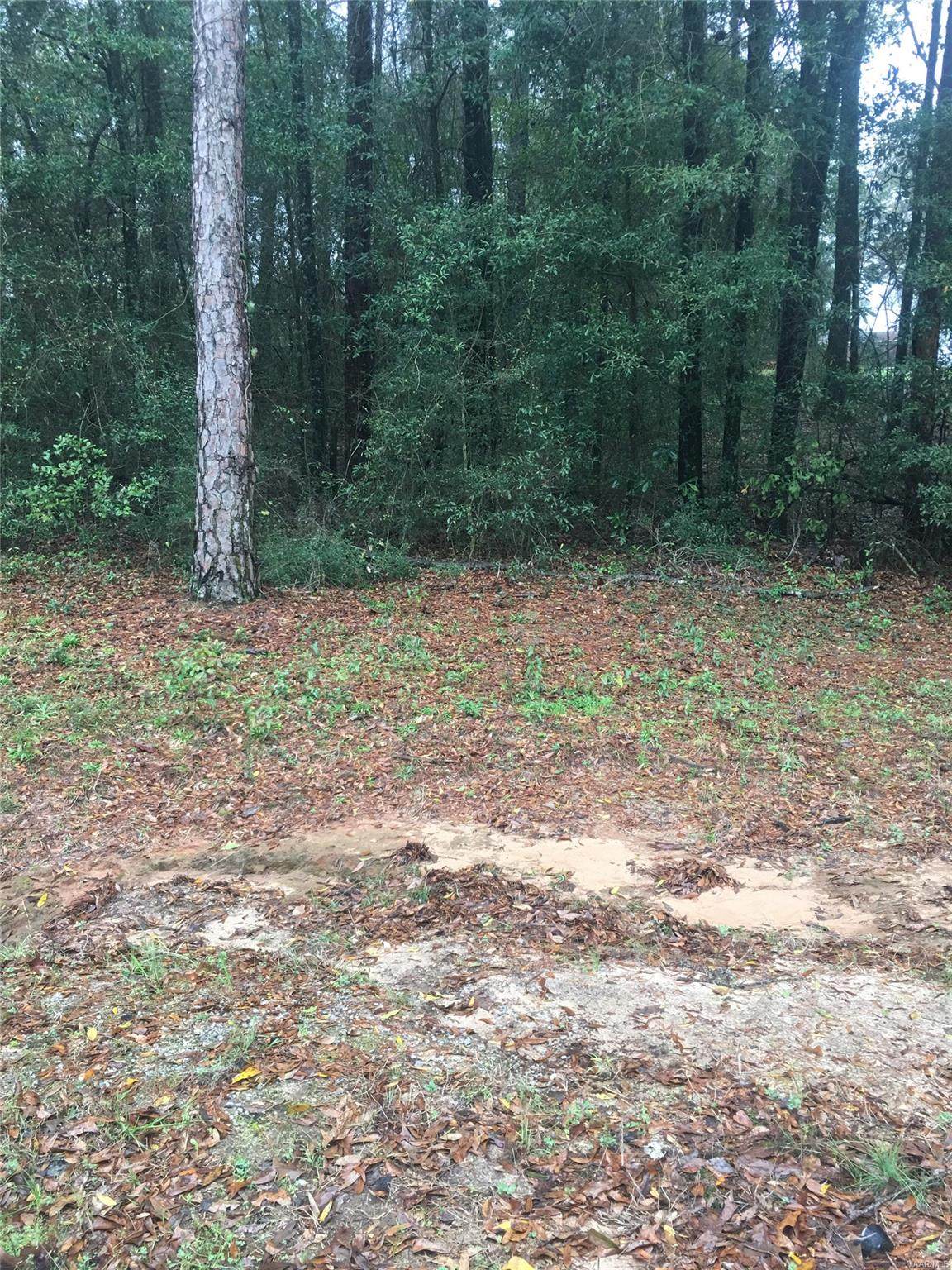 LOT 22 Jones Road - Photo 1