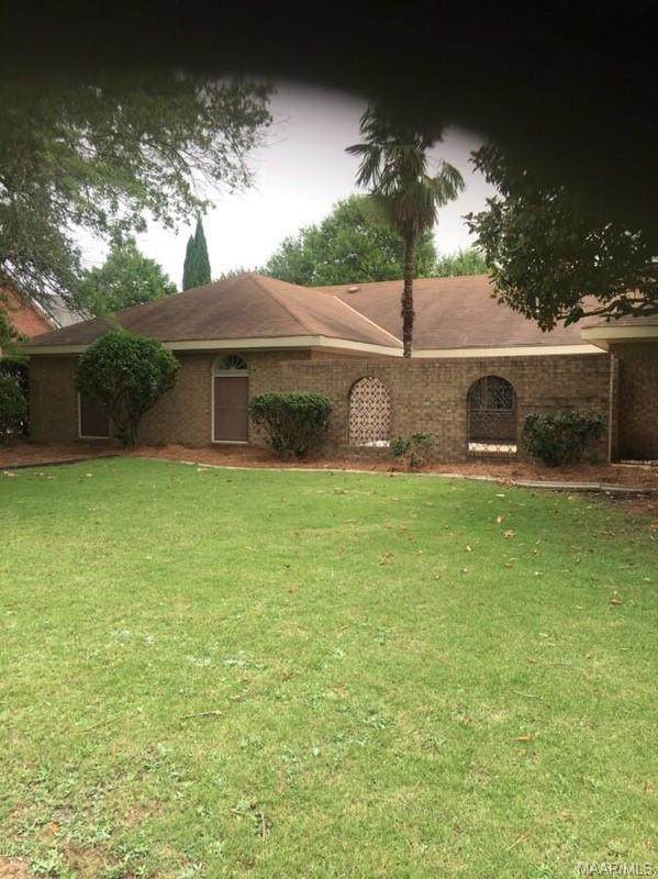 433 Paddock Lane - Photo 1