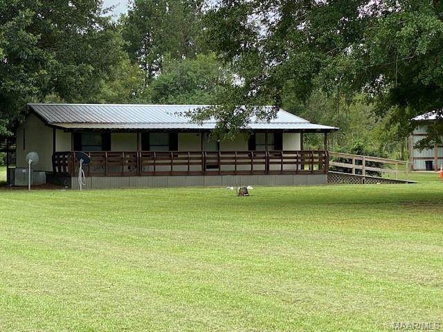 425 County Road 420 Road - Photo 1