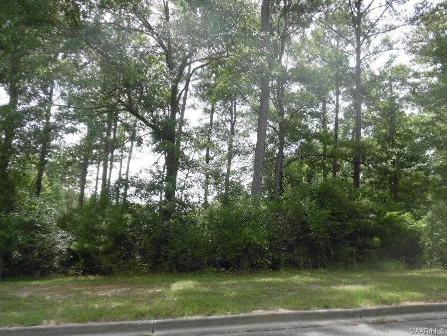 0003 Daisy Lane - Photo 1