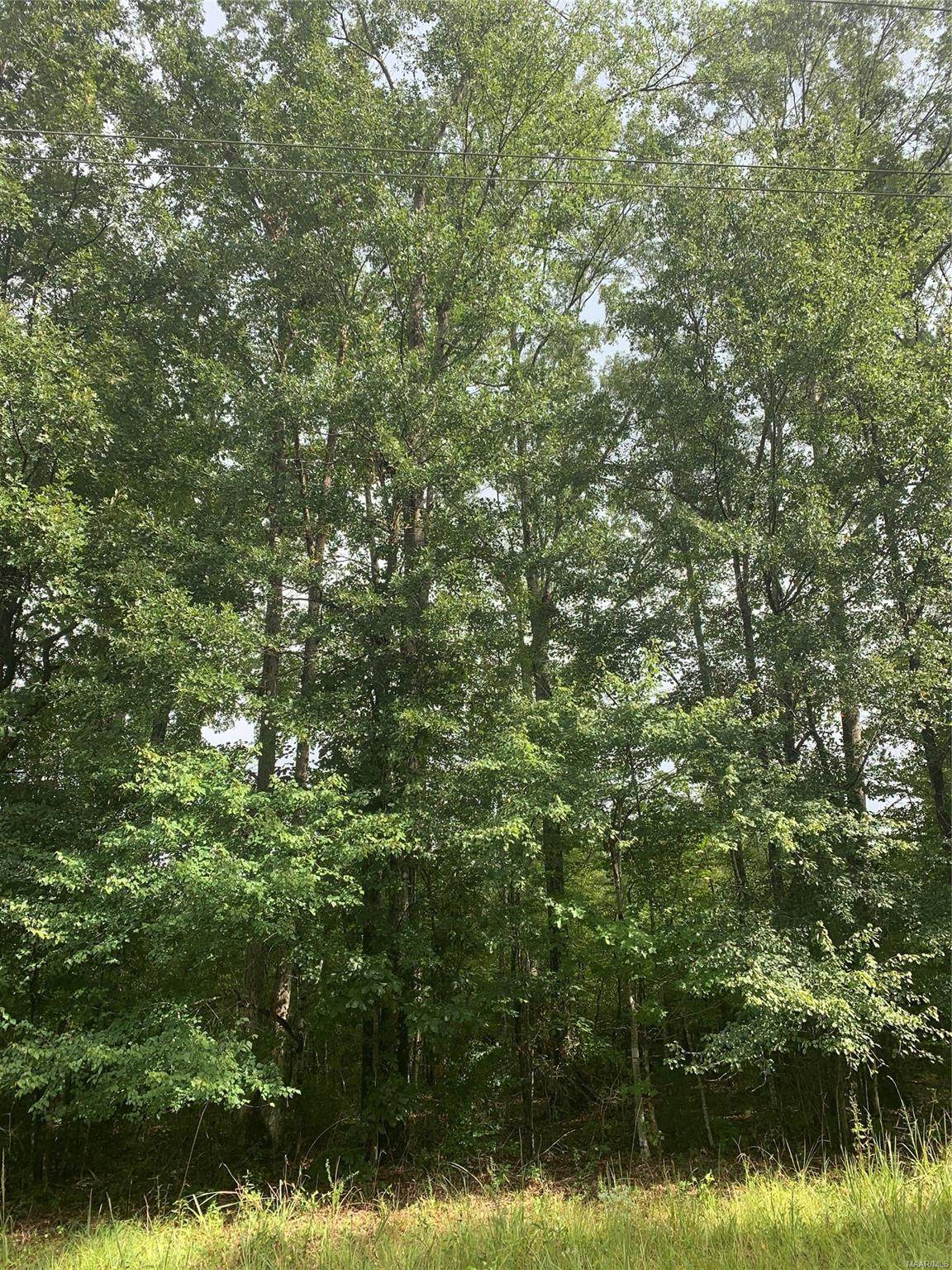 0 Highway 94 Highway - Photo 1