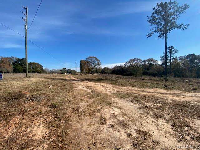 Lot 3 Highway 84 - Photo 1