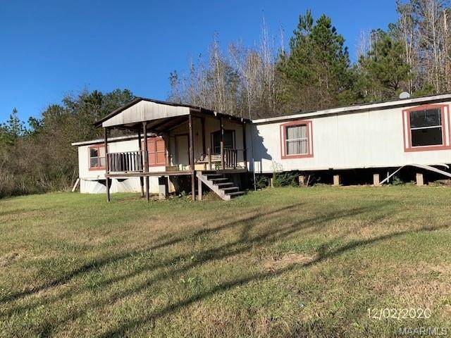 1241 Wilkinson Road - Photo 1