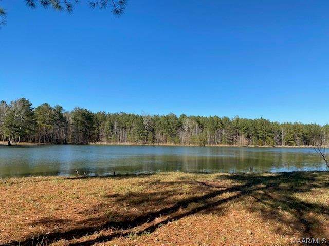 151 Winchester Trace - Photo 1