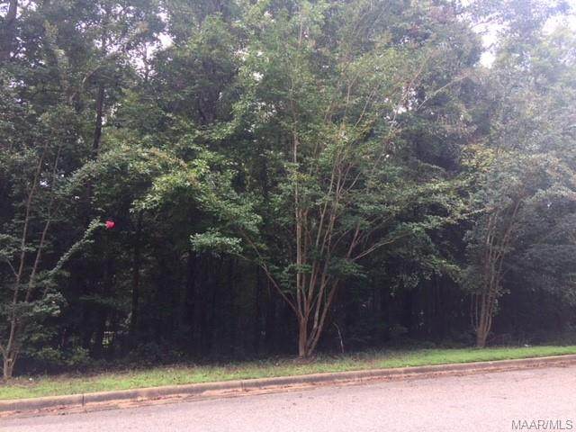 78 Little Doe Lane - Photo 1