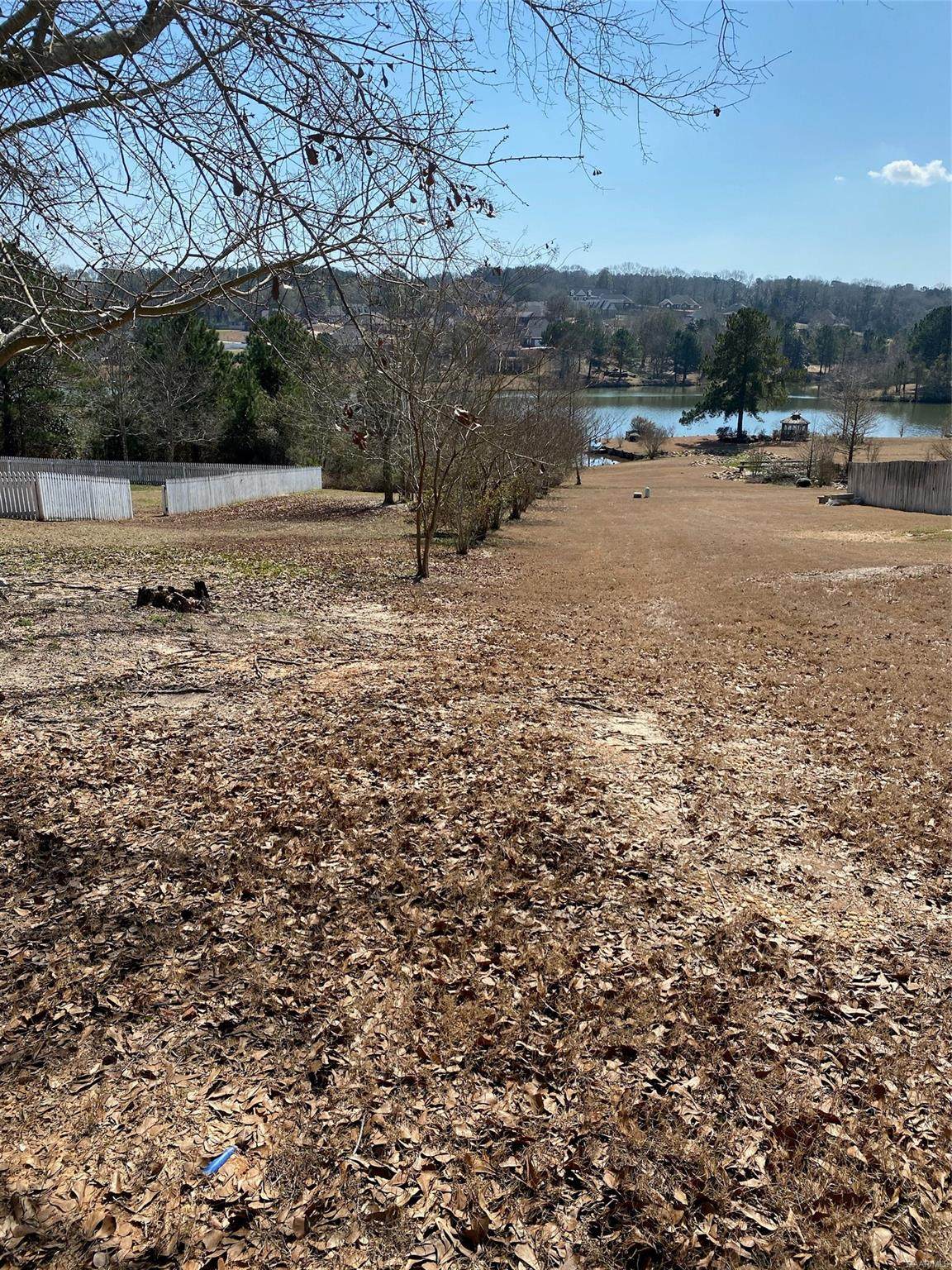 0 County Road 166 - Photo 1