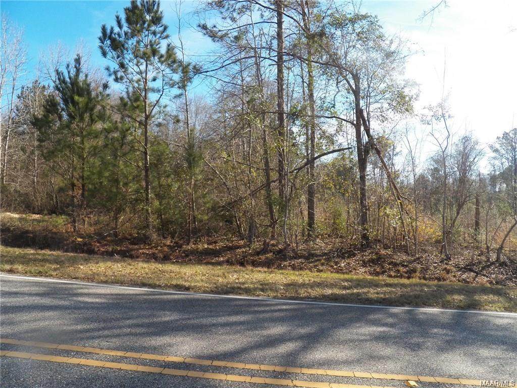 7198 County Road 306 - Photo 1