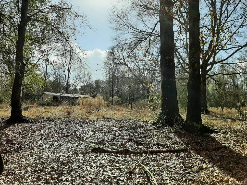 136 County Road 830 - Photo 1
