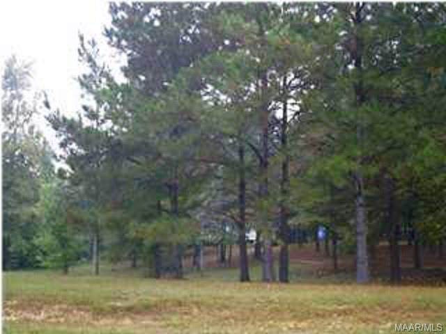 1600 Co Rd 213 Road - Photo 1